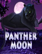 ทดลอง ปั่น สล็อต โร ม่าเว็บ เล่น slot กับค่ายดัง RTP 95.71%